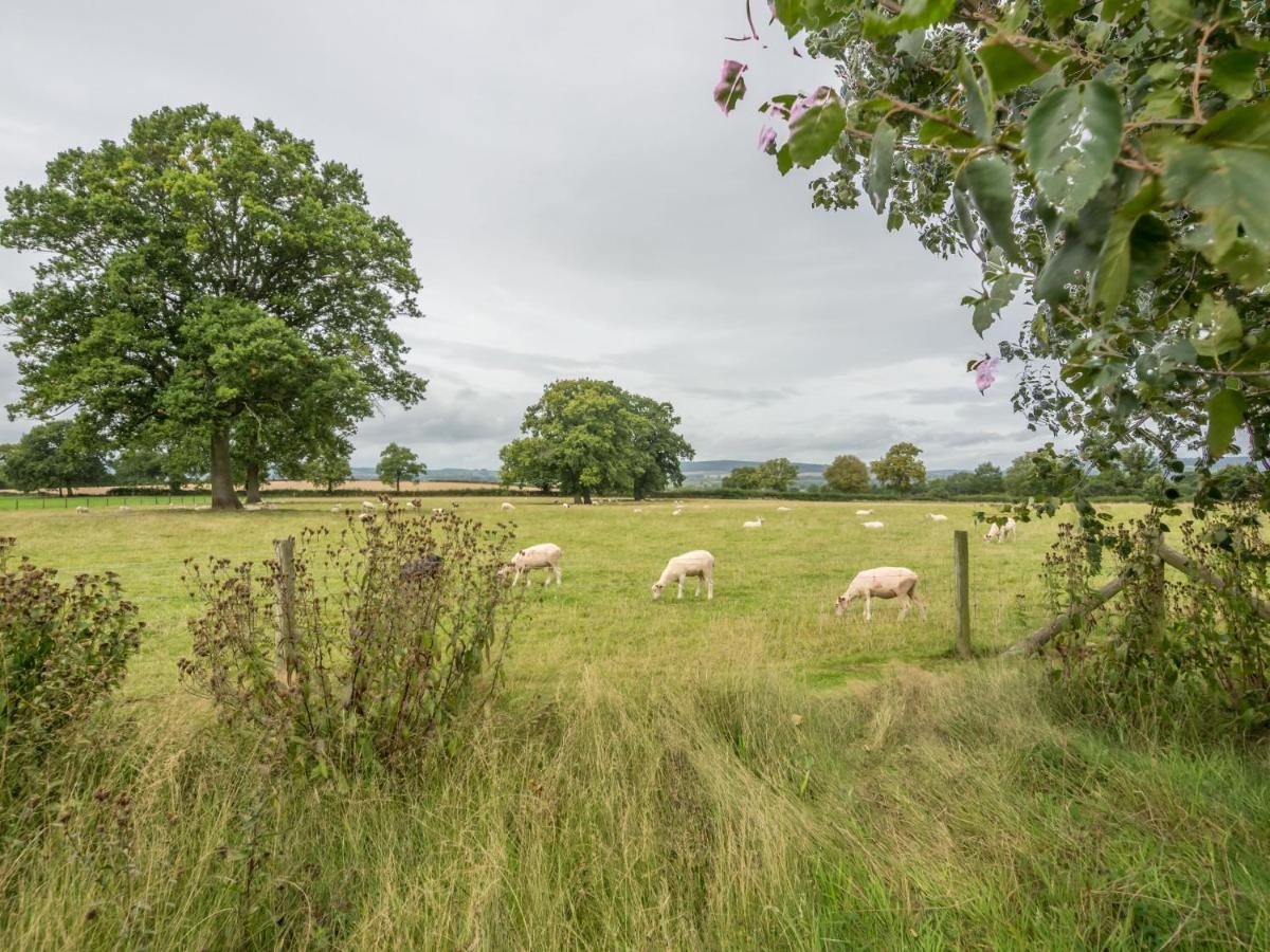Bearwood Cottage Pembridge エクステリア 写真